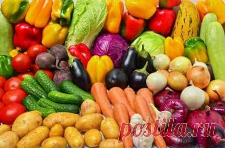 Правильное питание .
Самые полезные овощи — список Овощи являются незаменимым продуктом в рационе любого человека. Они ценятся за отличные вкусовые и питательные характеристики, лечебно-профилактическое воздействие на организм. Полезные свойства плодов нашли свое применение в кулинарии и пищевой промышленности, в медицине и косметологии. Польза и вред овощей, тем не менее, зависят от индивидуальных случаев их употребления. Чем полезны овощи […]
Читай дальше на сайте. Жми подробнее ➡