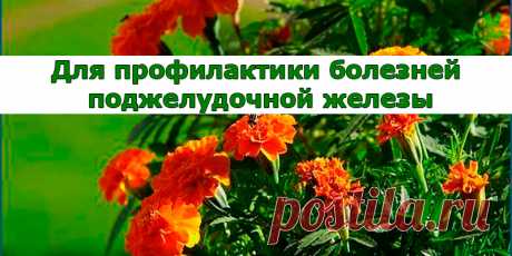 Для профилактики болезней поджелудочной железы и сахарного диабета | Полезные советы