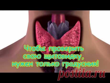 ЧТОБЫ ПРОВЕРИТЬ ЩИТОВИДКУ, НУЖЕН ТОЛЬКО ГРАДУСНИК! - YouTube