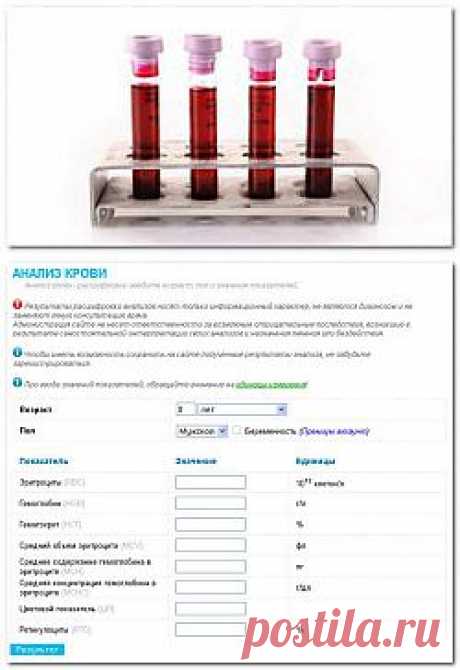 Расшифровка анализов онлайн.