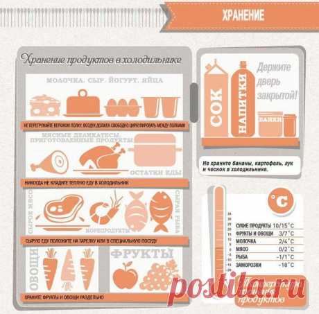 Где хранить продукты в холодильнике