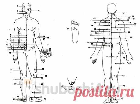Атлас точек акупунктуры и китайской медицины | Шубоши4.ру