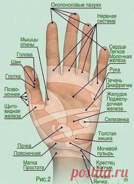 ВОЛШЕБНЫЙ МАССАЖ ПАЛЬЦЕВ РУКИ