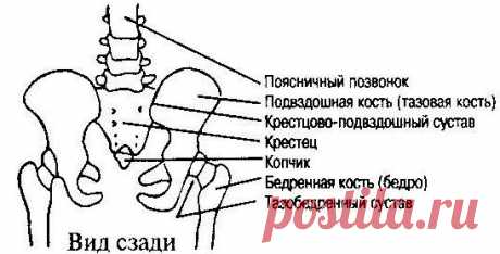 Чарльз и Фрэнсис Хантеры. &quot;Исцеление больных&quot;