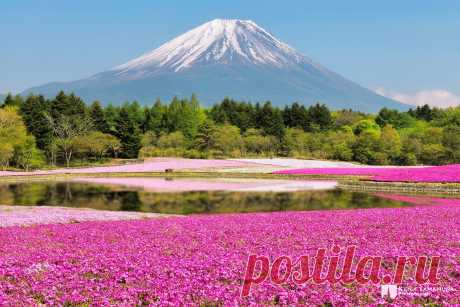 Mt.Fuji by Kenji Yamamura / 500px