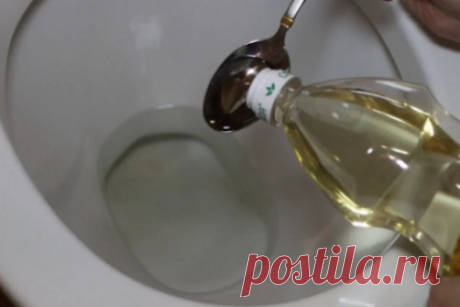Необычное применение подсолнечного масла в туалете для удаления неприятного запаха -