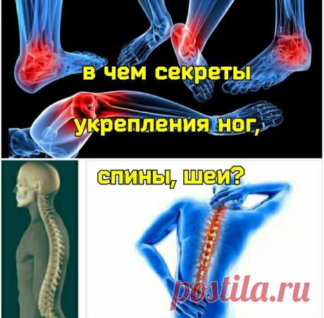 Мышцам нужен массаж или упражнения? Как правильно укреплять позвоночник, стопы и тазобедренные суставы? | Причины Здоровья | Яндекс Дзен