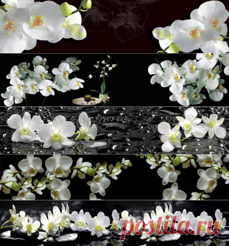 Скинали изображения для кухонного фартука. Орхидеи белые на черном фоне