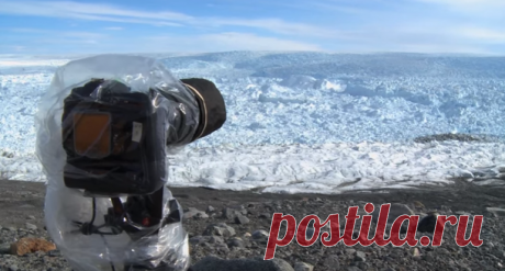 Они установили камеру на отдаленном участке в Гренландии. То, что они там зacняли — ужaсает! — Кактус