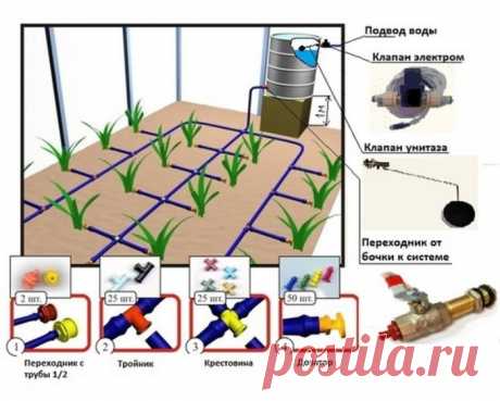 Инструкция по монтажу капельного полива в теплице своими руками