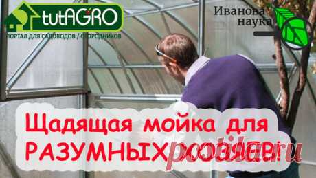 А ВОТ ТАК ЛУЧШЕ! Чем помыть ТЕПЛИЦУ ВЕСНОЙ? Дезинфекция и обеззараживание теплицы. Лучший раствор. | Иван Русских | Дзен