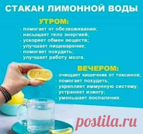 Советы хорошие, а цену лимонов сейчас вы знаете??