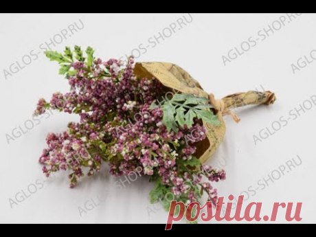 🌿Обзор флоры🌿с Аглос🌿СП Наша Кладовочка🌿