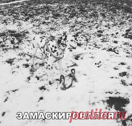 (19) Одноклассники