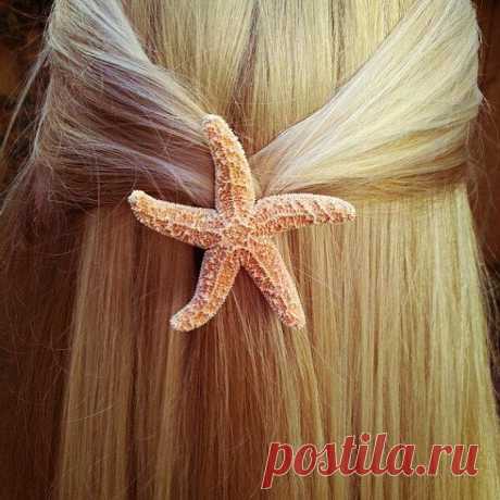 Морская звезда для волос - $9.00 USD