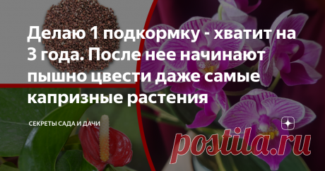 Делаю 1 подкормку - хватит на 3 года. После нее начинают пышно цвести даже самые капризные растения Сегодня я поделюсь с вами информацией о «космической подкормке», которая преобразила мои домашние цветы. Фото прилагаю!