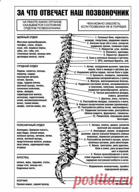 Жалобы при болях отдельных позвоночников и что это означает | uDuba.com
