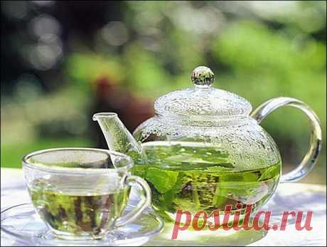 Зеленый чай – эликсир здоровья и молодости - MixedNews.ru