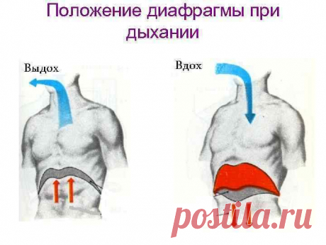 Упражнения, омолаживающие весь организм / Будьте здоровы