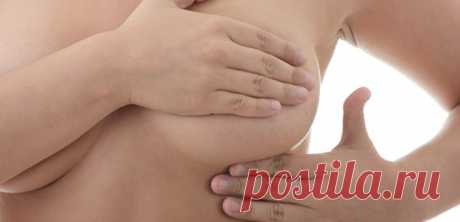 Лечение мастопатии в домашних условиях народными средствами