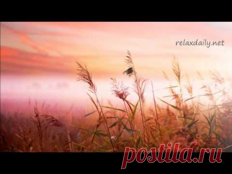 Background Music Instrumentals - relaxdaily - B-Sides N°1