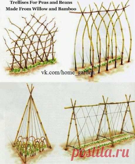 Опоры для гороха и бобовых! / Садоводство / грядки / Pinme.ru / Лариса Дотдуева
