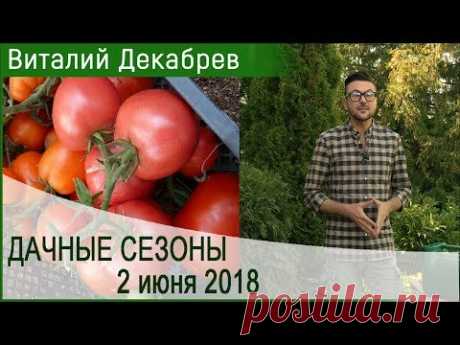 Дачные сезоны с Виталием Декабревым. 2 июня 2018