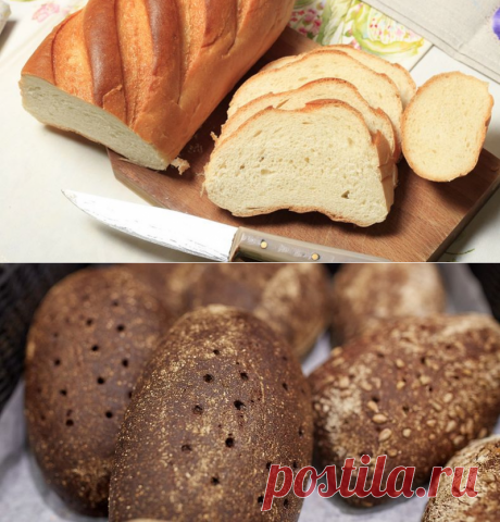 Полезные факты о хлебе - Здоровье Mail.Ru