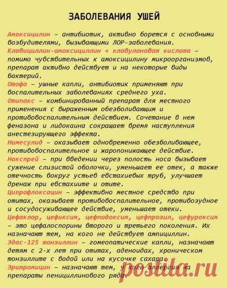 Шпаргалка на всю жизнь: 99 лекарств, которые могут вылечить почти все