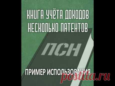 Пример использования Книги доходов при нескольких патентах