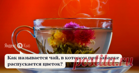 «Как называется чай, в котором при заварке распускается цветок?» – Яндекс.Кью 21 декабря 2019 Иван Жилин ответил: Связанный чай, он же цветочный чай, - это соединенная вручную с помощью нити и затем скрученная в определенную форму композиция из чайного листа и цветков различных растений, чаще всего тех, которые используются в китайской медицине. 

Связанный чай в больших количествах производят традиционно чайные провинции - Фуцзянь, Хунань, 

Сычуань, Юньнань. Чаще всего ч...