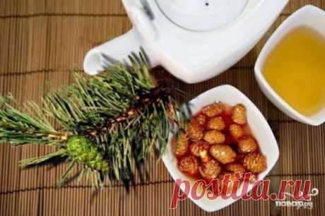 Варенье из еловых шишек - пошаговый рецепт с фото на Повар.ру