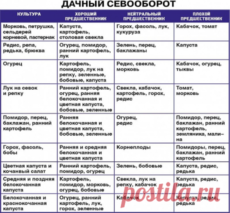 Имея эту таблицу, я знаю когда и куда сажать овощи