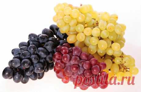 Лето - ухаживаем за виноградом - Новости Спектр