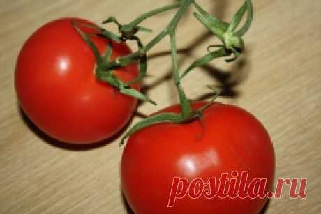 Народные средства для подкормки помидоров – самые лучшие рецепты - Садоводка