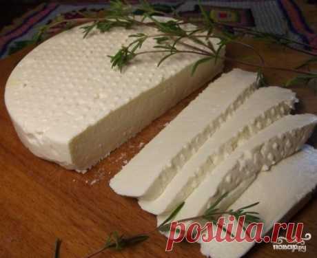 Адыгейский сыр в домашних условиях - пошаговый рецепт с фото на Повар.ру