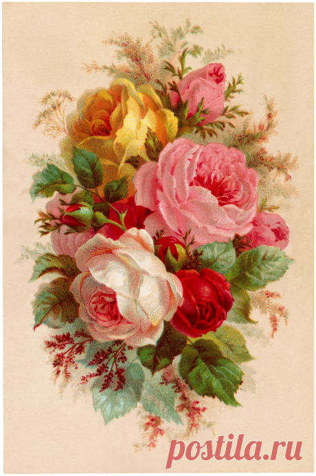 Beautiful Vintage Roses Bouquet Image! - The Graphics Fairy