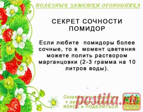 КОПИЛОЧКА  ОГОРОДНИКА!
Сохраните и поделитесь с друзьями!
#✒ЗаметкиОгородника✒