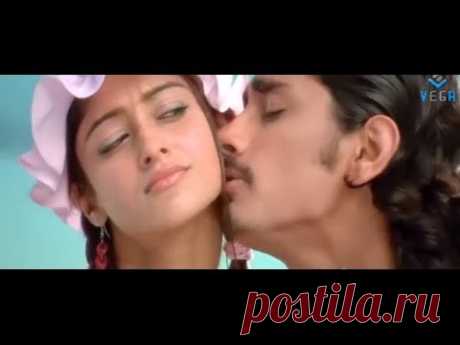 Siddharth's Aata Movie Songs : Ninu Choostunte Song