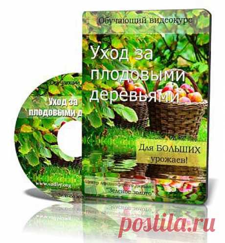 Видео-Курс &quot;Уход за плодовыми деревьями&quot; 
В данном видео-курсе  детально описано, как надо ухаживать за плодовыми деревьями. В нем не только рассказывается о болезнях и вредителях, уничтожающих тяжелый труд, а и показано, как они выглядят.
Автор : Николай Рабушко