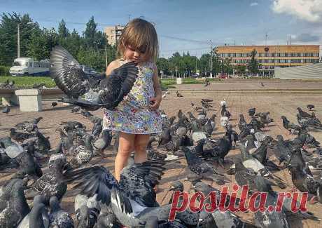 Фото Девочка и птицы... - фотограф Orlov Oleg - жанр - ФотоФорум.ру