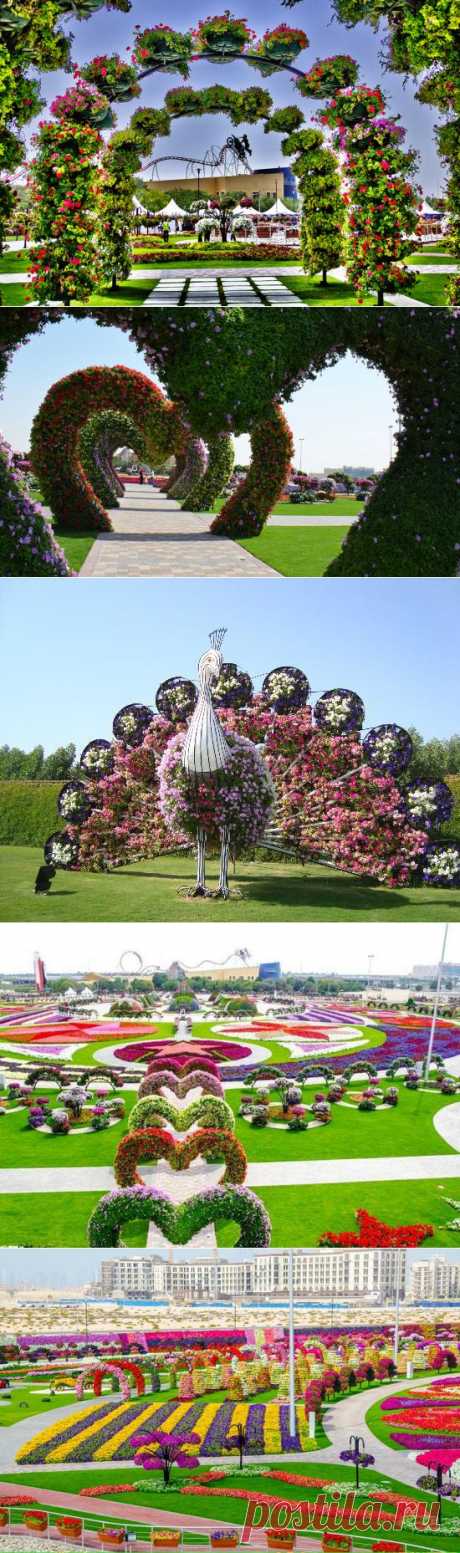 Dubai Miracle Garden - цветочное царство среди пустыни!