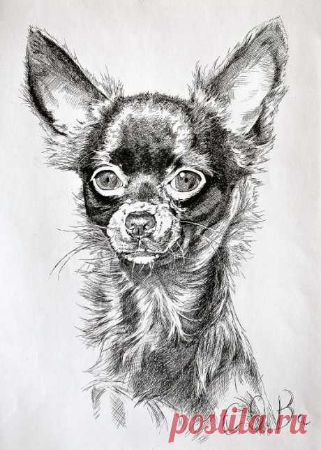 Собака ручкой рисунок (25 фото) » Рисунки для срисовки и не только
