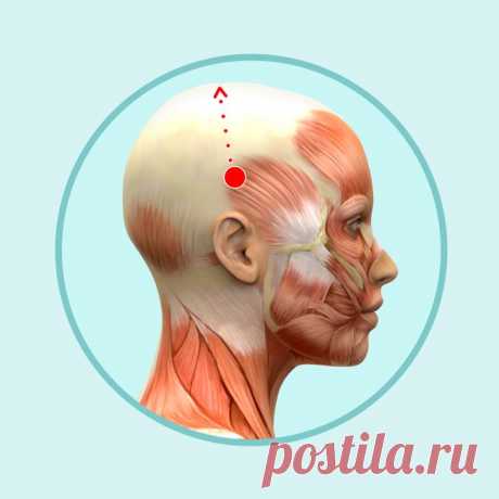 6 простых движений для массажа головы, который поможет избавиться от морщин | Болтай