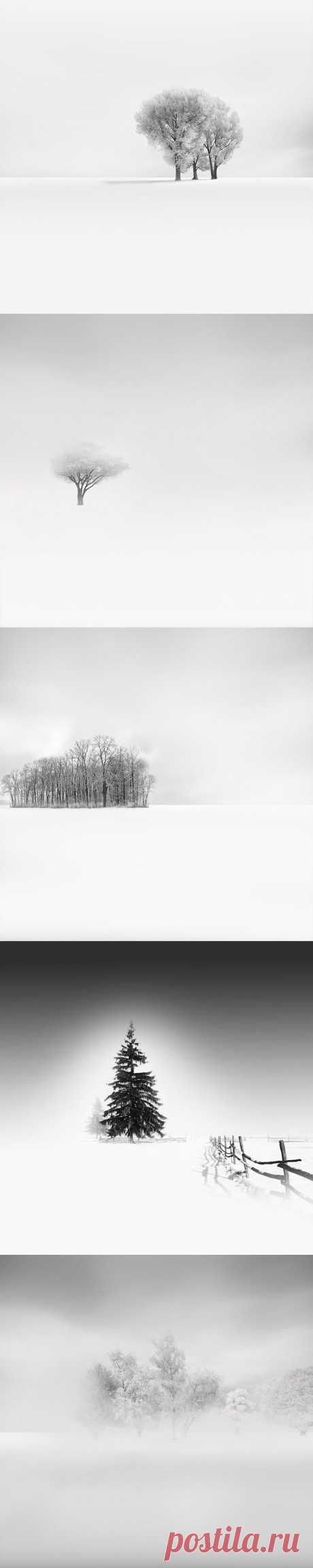 Белое безмолвие: философский фотоцикл от Вассилиса Тангулиса (Vassilis Tangoulis) | Фотография | Фотография