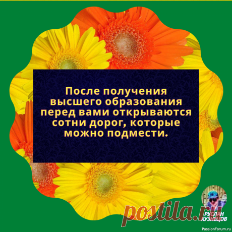 Иногда только промахнувшись, понимаешь, как ты попал. | Юмор