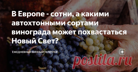 В Европе - сотни, а какими автохтонными сортами винограда может похвастаться Новый Свет? Какие самые популярные автохтоны есть в Новом Свете? Какие вина из них продаются в России?