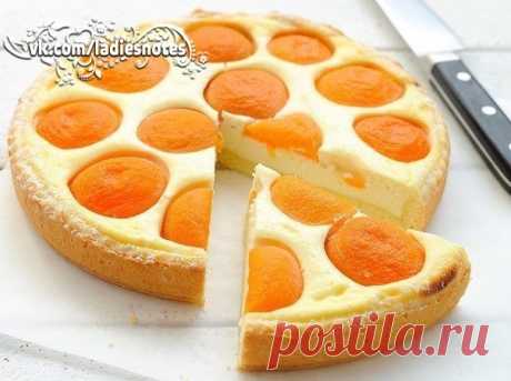 Творожный пирог с абрикосами / Web-Кулинария