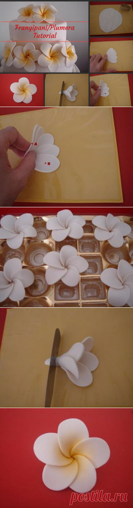 Of Wedding Cakes, Sweets and more...in Ipoh, Malaysia: Frangipani Tutorial