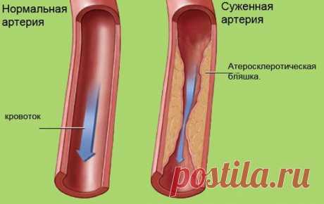 Здоровье. Йога. Красота. Сила. Дух. | ВКонтакте